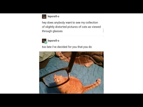 download lagu mp3 mp4 Funny Tumblr Text Posts, download lagu Funny Tumblr Text Posts gratis, unduh video klip Funny Tumblr Text Posts