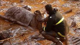 environmental crime in Brazil