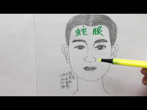 蛇眼 面相