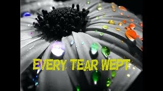 He has your bottle of tears  - Judah Smith ( Sermon Jam )