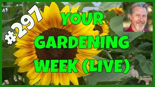 Watering the Garden (Q&A)