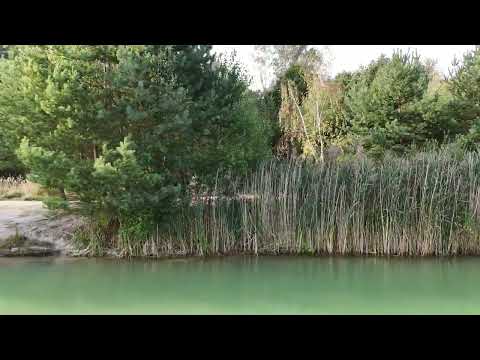 Pískovna Vejprnice - lovné místo č. 4