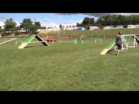 Devon dogs ch cup 2nd  Friday