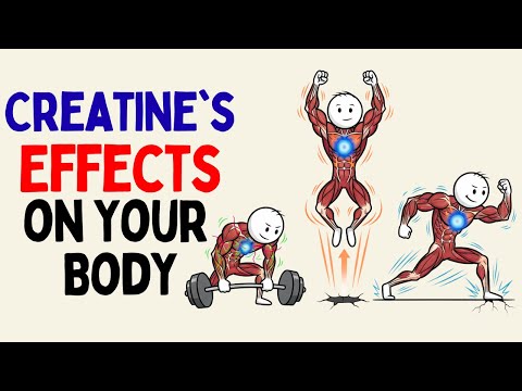 What Happens to Your Body If You Take Creatine Daily? (Science Explained)