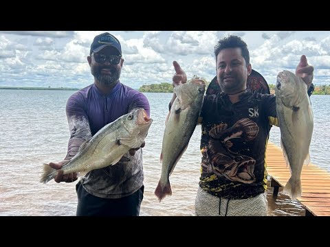 Pescaria de corvinas Água Comprida  - MG dia 07/12/2025 #guiadepesca #riogrande #corvina #rio 