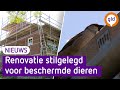 GLD Nieuws 2 juni 2023