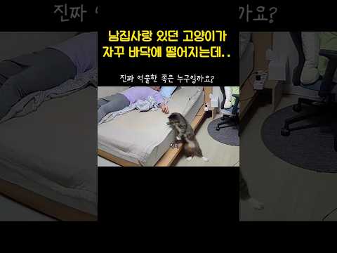 누가 더 잘못한 것 같나요?