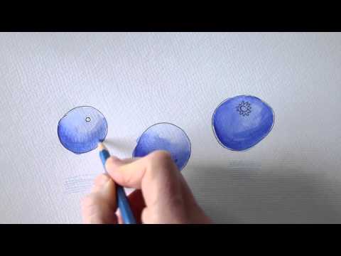 Draw Tip Tuesday - Drop Shadows