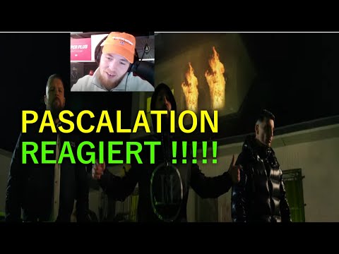 SEYED X ASCHE X KOLLEGAH VOLLMOND REACTION WAS EINE KRANKE HOOK
