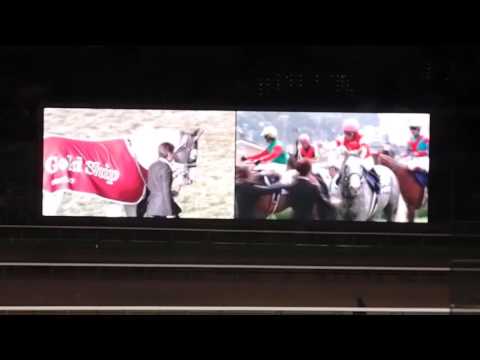 2015.12.27　有馬記念ゴールドシップ引退式_02