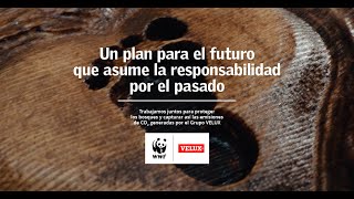 Velux Carbono Neutral Toda la Vida con WWF - Estrategia de sostenibilidad 2030 de VELUX anuncio