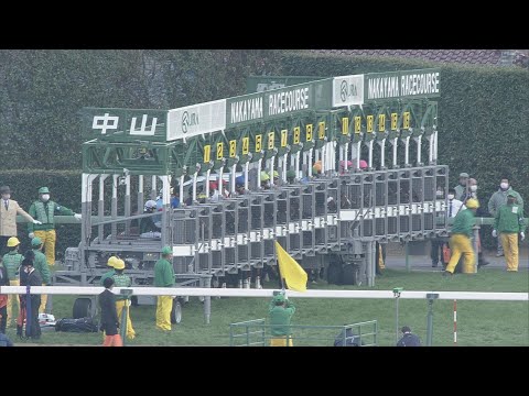 2020 Arima Kinen (Grand Prix) (G1)