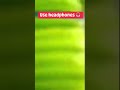 Kolkata Sonagachi Red Light Area Kolkata Sonagachi New Video Kolkata Sonagachi Room Video Kolkata