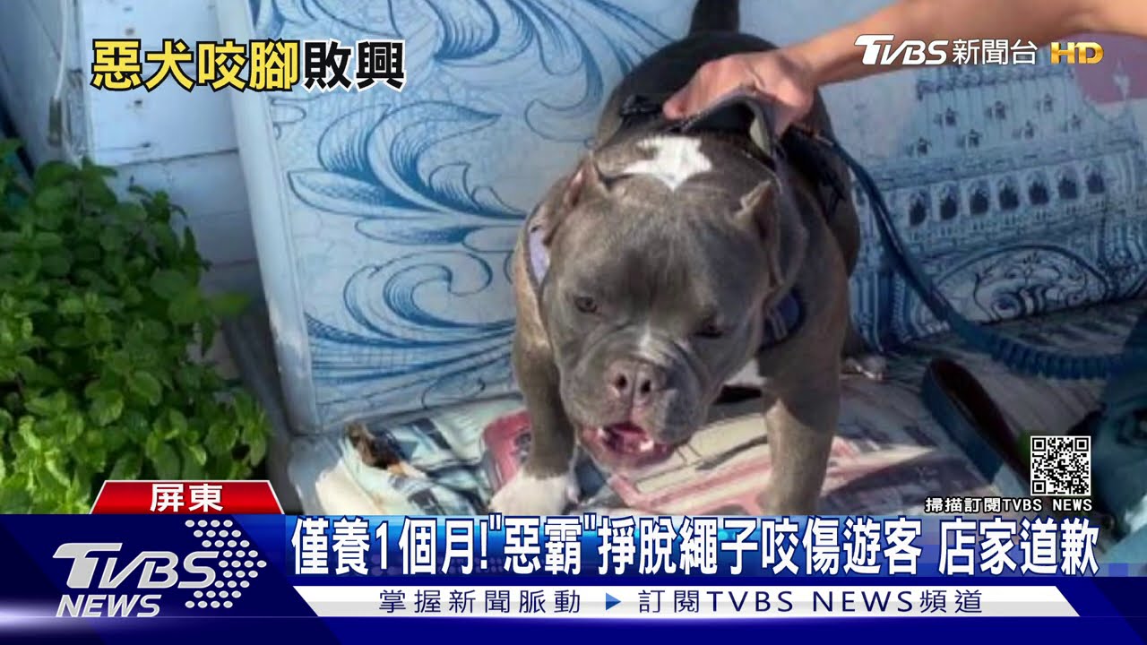 美國惡霸咬傷遊客腿留2洞 店家2千紅包道歉