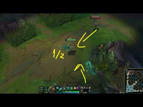 How to NEGATE Every CC with Illaoi!