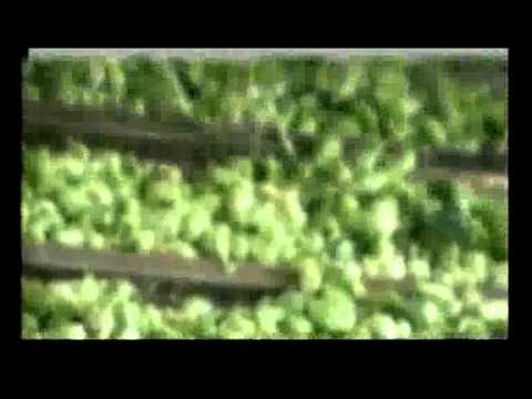 Nhà hàng nấu bia Hoa Viên BrauHaus