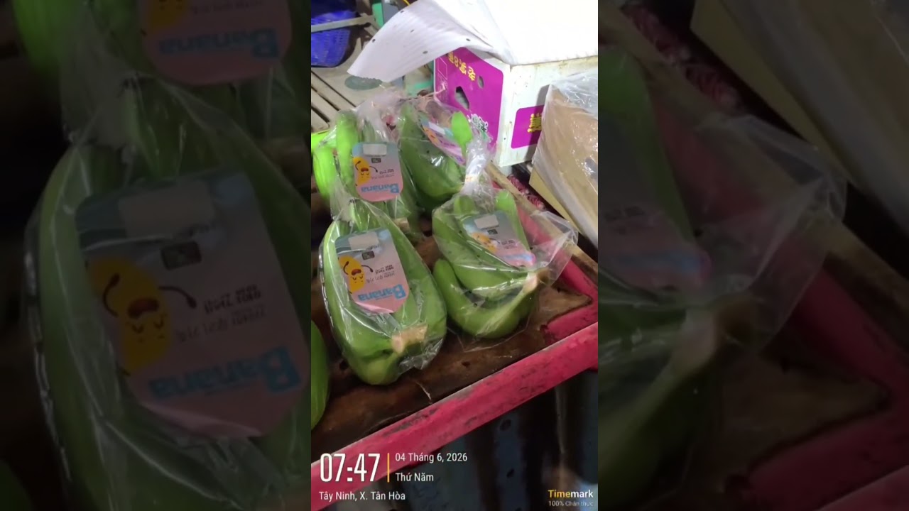 Đóng gói chuối để xuất khẩu