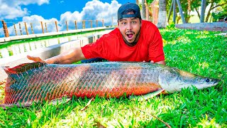 ESSE É O NOVO MORADOR DA FAZENDA ! PIRARUCU DE 2 METROS