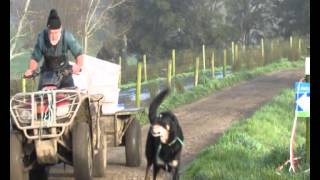 Evasion en Nouvelle Zélande !