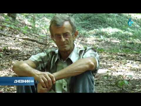 Skriveno blago Nemanjića