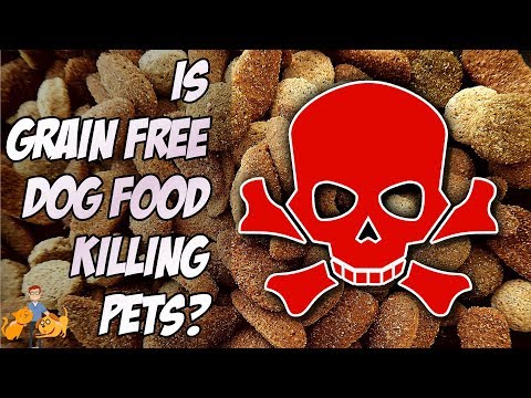 Grain Free Dog Food: does it cause heart failure? (FDA warning)