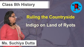 CBSE Class 8 History Ruling The Countryside Indigo on Land of Ryots |Extraminds