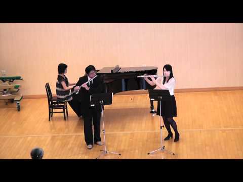 Franz Doppler / DUETTINO HONGROIS Op.36