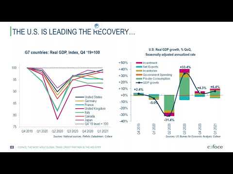 Coface CEE Webinar:  Economic outlook - towards sustainable growth - Jun 9, 2021