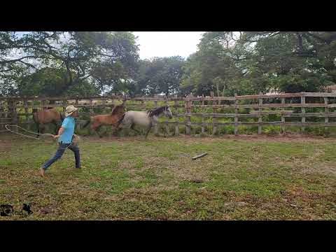 Linking with plains spark (plains work)