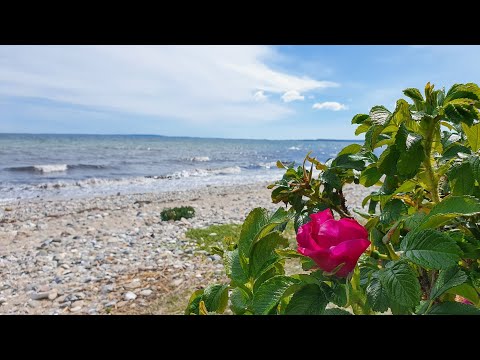 Ein Ostseewochenende - zwischen Schönberger Strand und Hohwacht