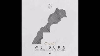 Avicii | We Burn (Faster Than Light) [Extended] | with Sandro Cavazza | [HCHM Remake]
