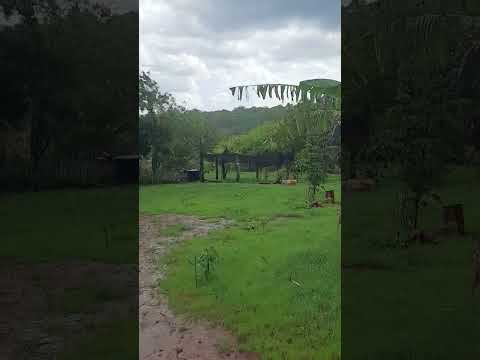 sítio Lagedinho povoado de Riacho de Santana, Bahia 🌵 #sertão