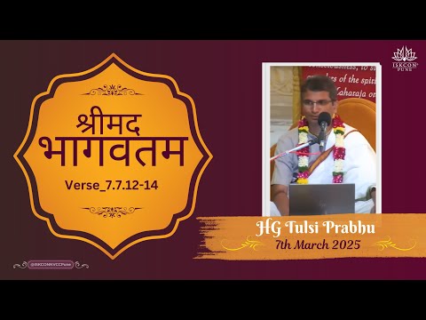 श्रीमद भागवतम_7.7.12-14 || HG Tulsi Prabhu || 7th March 2025 @ISKCONNVCCPune