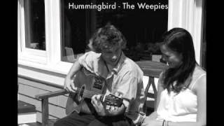 Hummingbird cover (The Weepies) - Andrew and Caroline