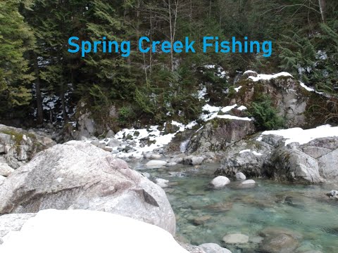 Spring Creek Fishing