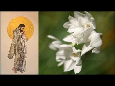 OH GLORIOSO SAN JOSÉ