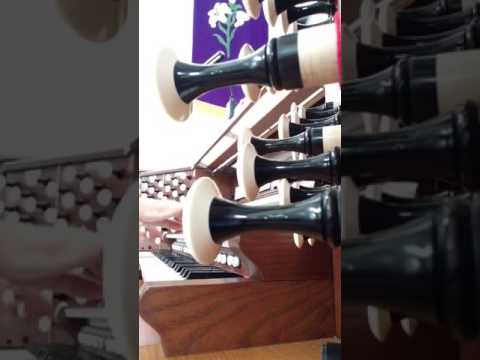 Ungaresca and Saltarello from Suite of Dances - Pierre Phalese