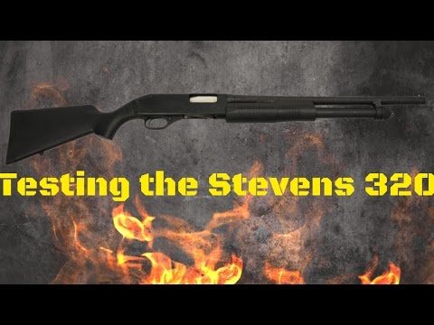 Testing our New Stevens 320 12g with Cody and Mamma Bear