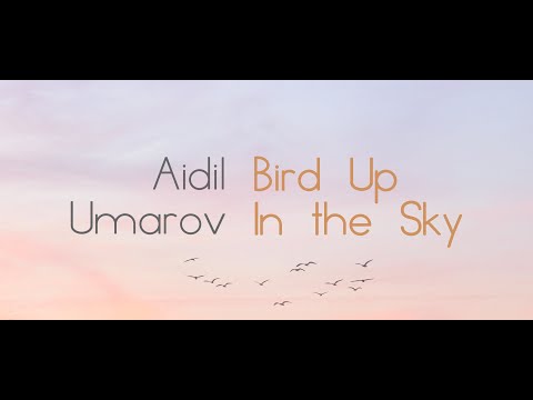 Aidil Umarov - Bird Up In the Sky (Official Lyric Video)