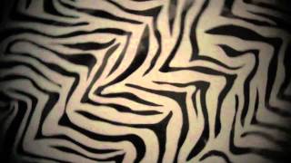 Tokyo Police Club- Bambi music video unofficial