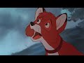 The Fox And The Hound A Difficult Reunion HD