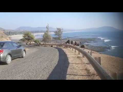 dive agar to shrivardhan beach