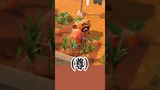 つぶきちまめきちの2匹暮らしが尊すぎる【あつ森】