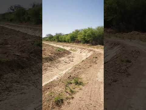 Campo ganadero en Garza, Santiago del Estero.