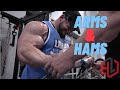 How to Train Arms | Arms and Hamstrings | Hunter Labrada