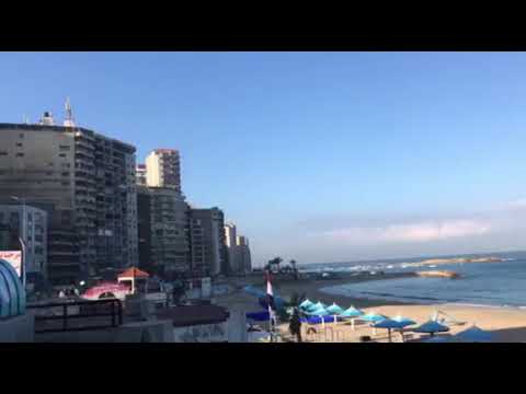 Alexandria Beach Miami Neighborhood