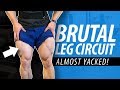BRUTAL Leg Circuit (I Almost Puked!)