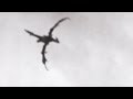 Dragon Flying Over England 