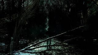 DJ Koze - Dont lose my mind