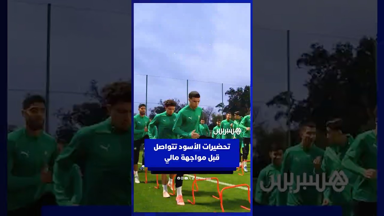 تحضيرات الأسود تتواصل قبل مواجهة مالي thumbnail